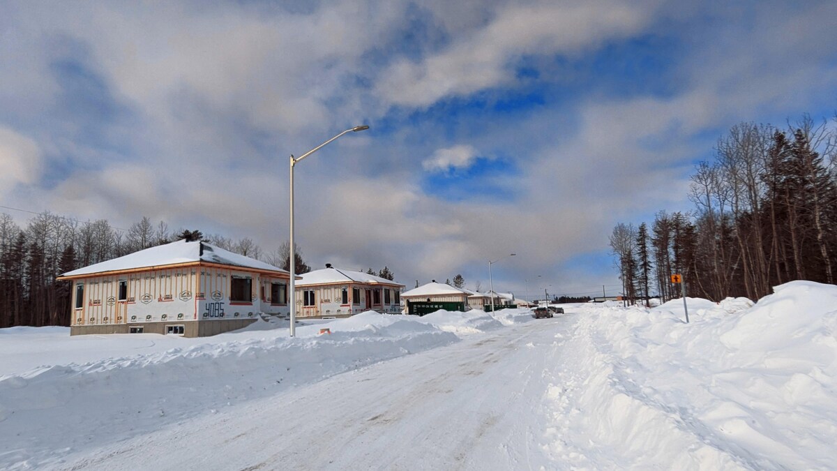 Une coupe d’arbres dénoncée à TroisRivières Le téléjournal Mauricie