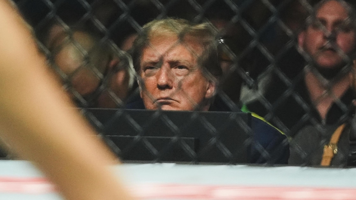 L'ancien président, Donald Trump, lors d'un combat d'arts martiaux UFC 302, samedi 1er juin 2024, à Newark.