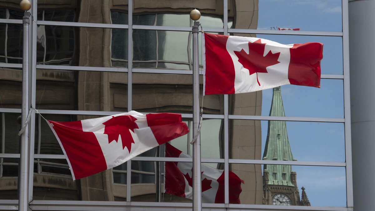 Des drapeaux canadiens flottent près du parlement, à Ottawa.