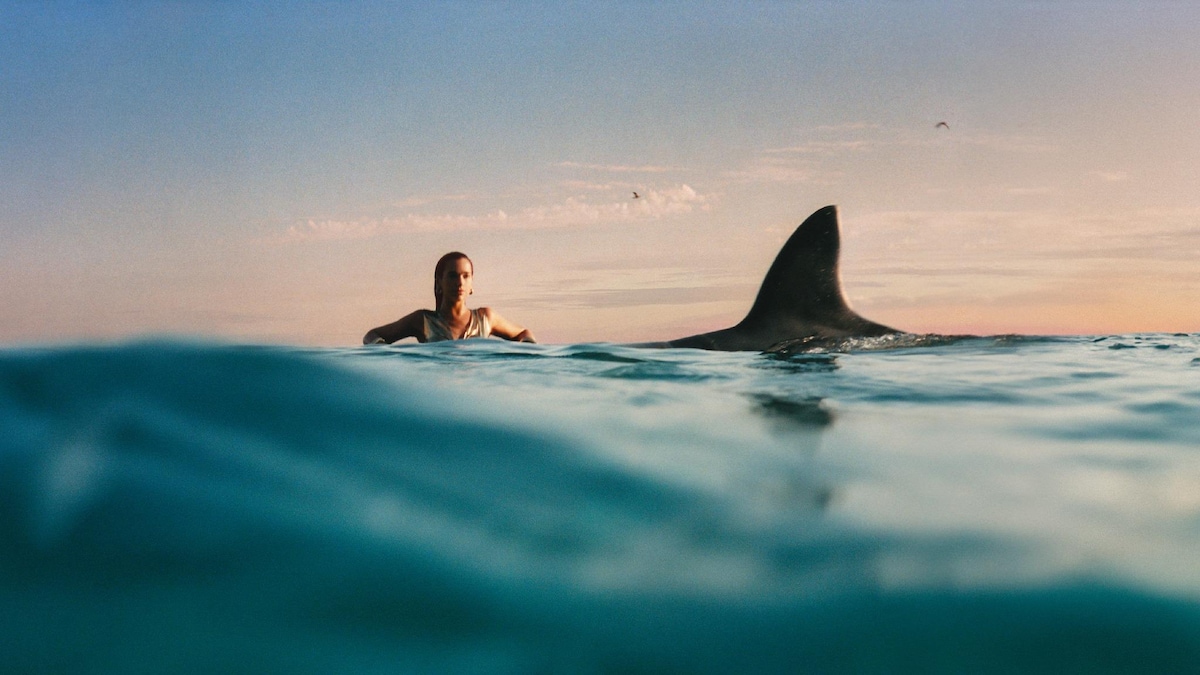 Une femme nage dans un océan alors qu'une nageoire de requin émerge de l'eau tout près d'elle.