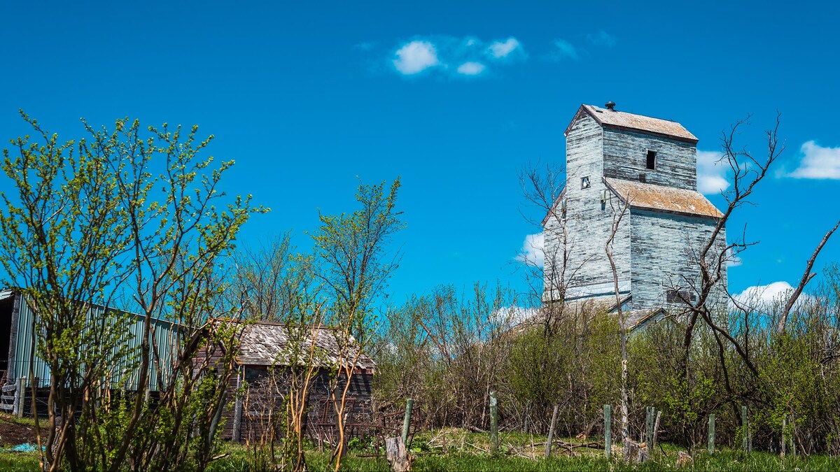 De petits arbres et un vieux silo à grain, à Snowflake au Manitoba, début mai 2022.