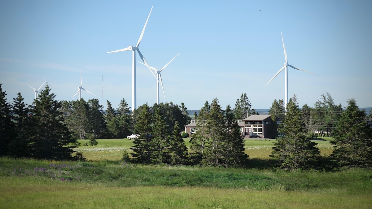 Quelques éoliennes productrices d'électricité en Nouvelle-Écosse.