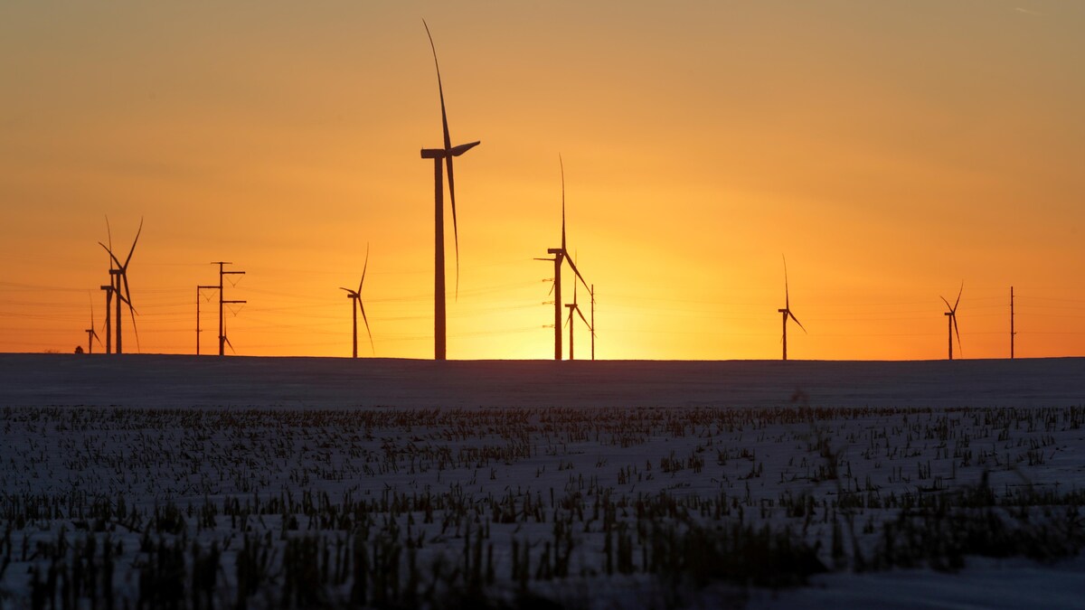 Des éoliennes dans un champ de maïs à Latimer, en Iowa, durant un coucher de soleil.