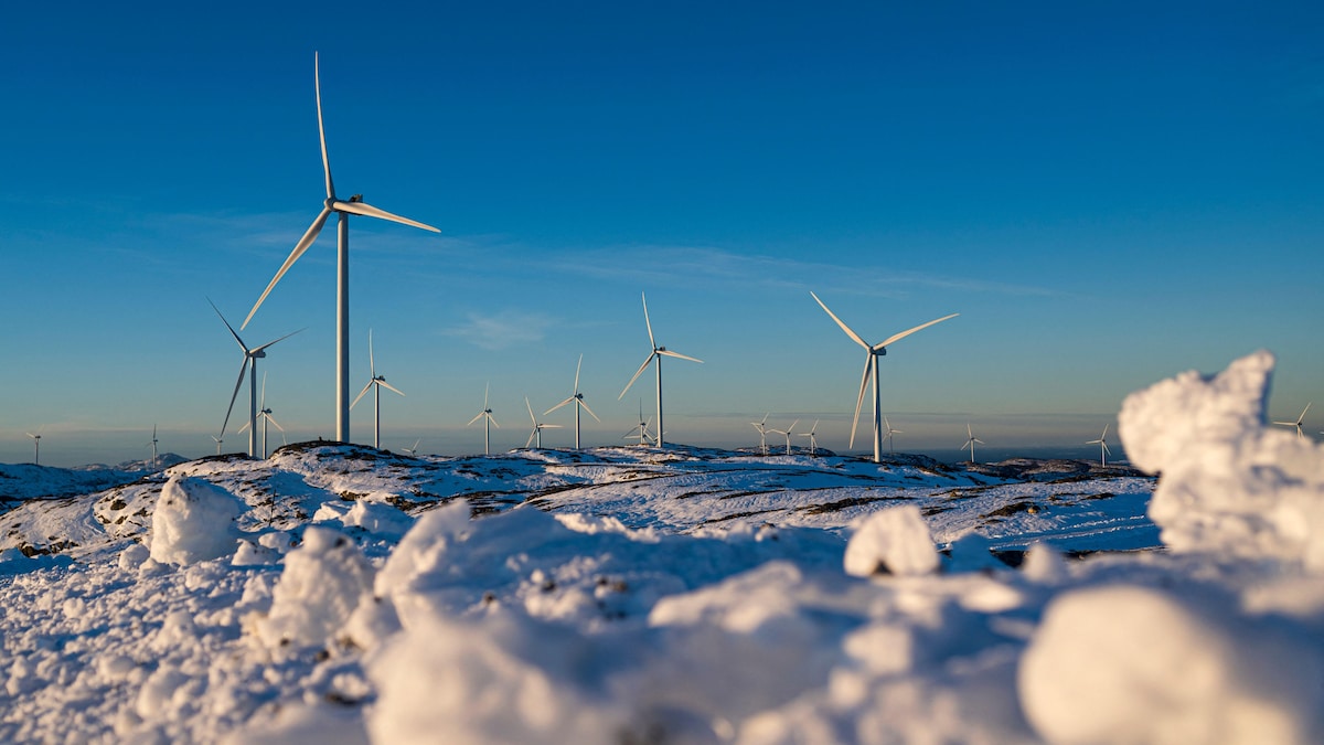 Dozens of wind turbines in a snow-covered field.