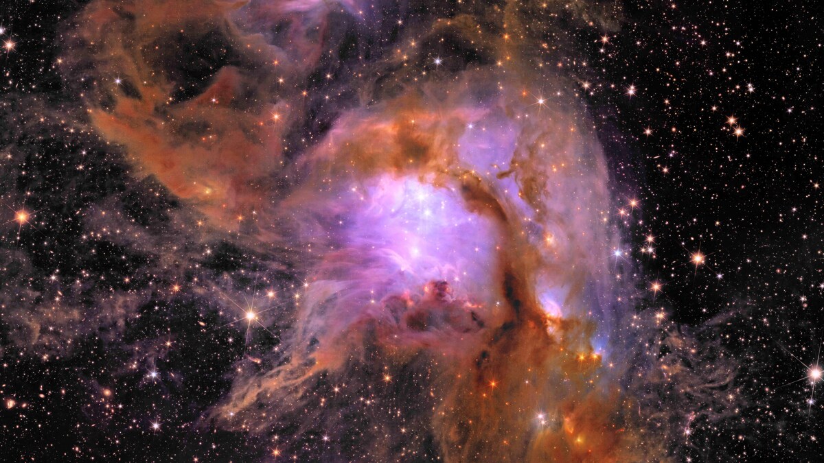 La nébuleuse Messier 78, une pépinière d'étoiles en formation enveloppée d'un linceul de poussière interstellaire. 