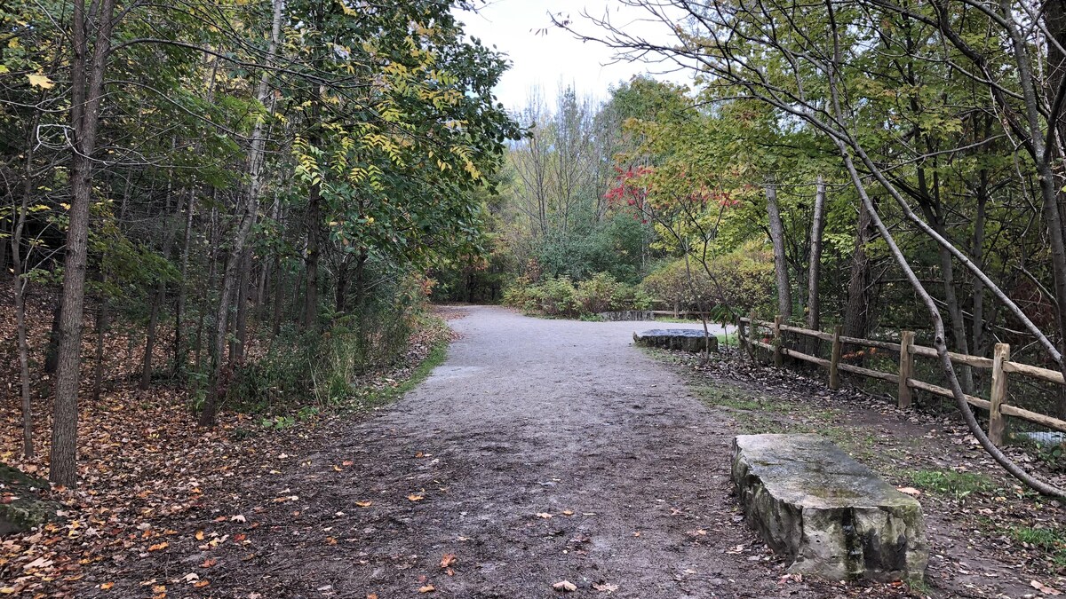 Paysage d'automne au parc Evergreen Brick Works