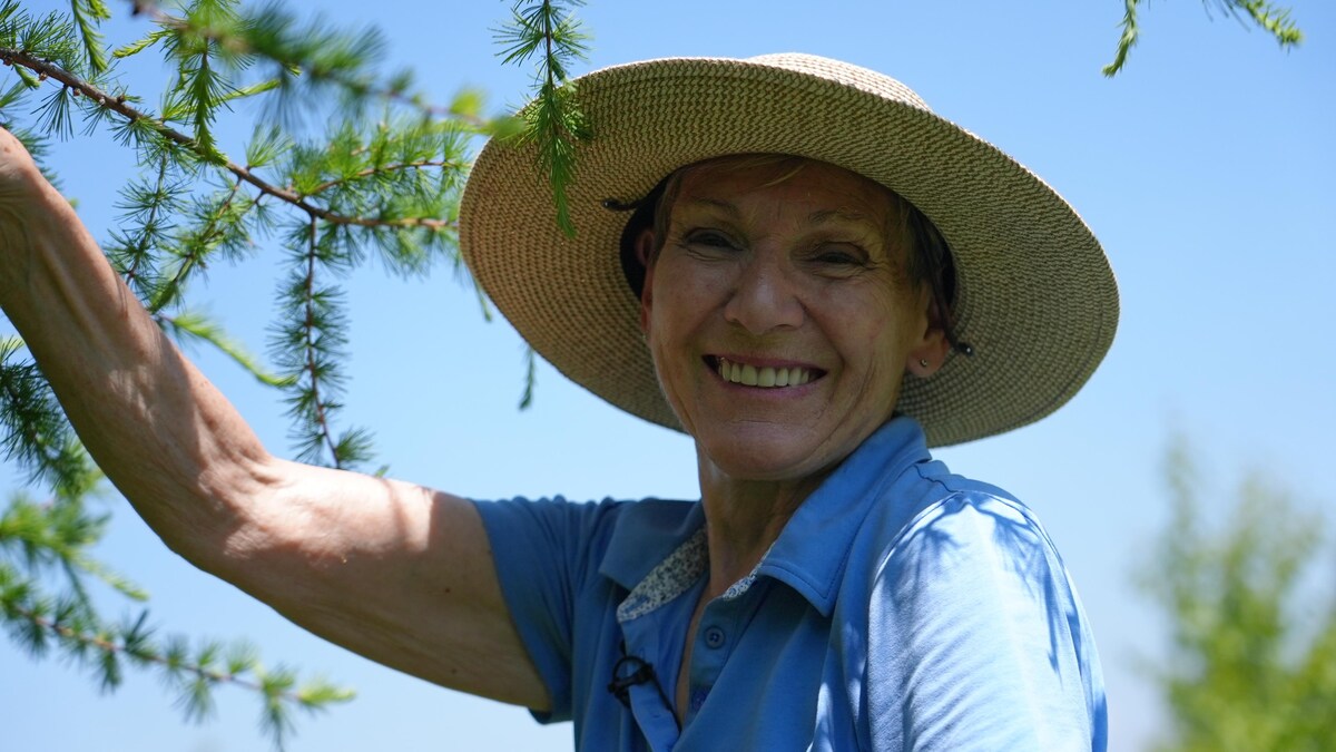 Exploiter les saveurs de la forêt | Le téléjournal Québec