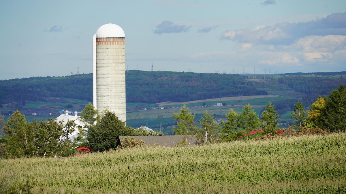 Un silo à grains dans un champ.