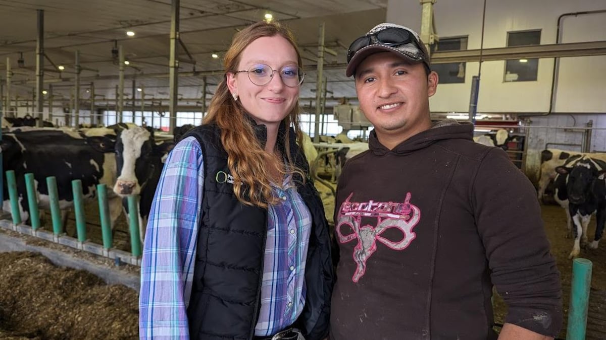 Une femme et un homme sourient à la caméra en posant dans une étable, quelques vaches en arrière-plan.
