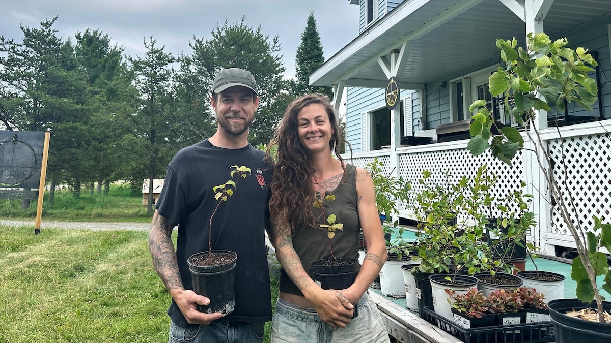 Des kiwis poussent en Abitibi