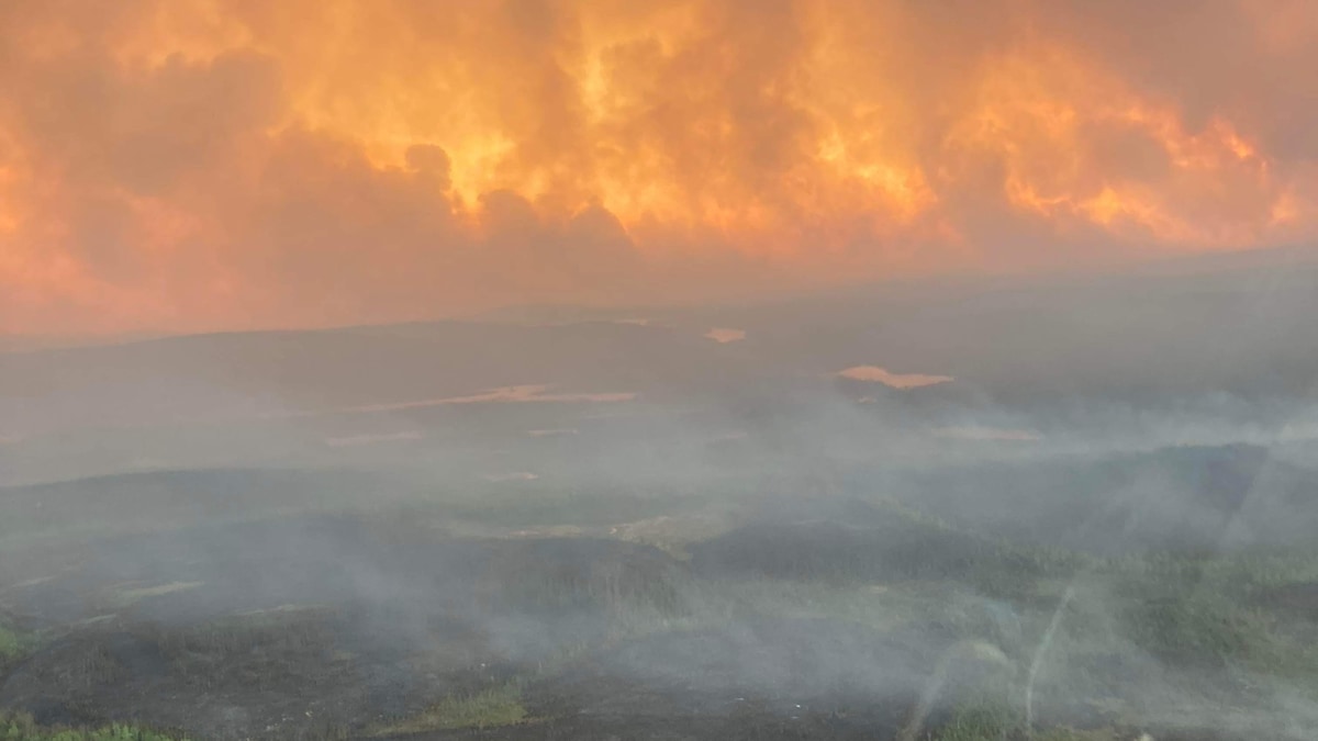 Les flammes d'un incendie qui brûle une grande forêt s'élèvent dans les airs.