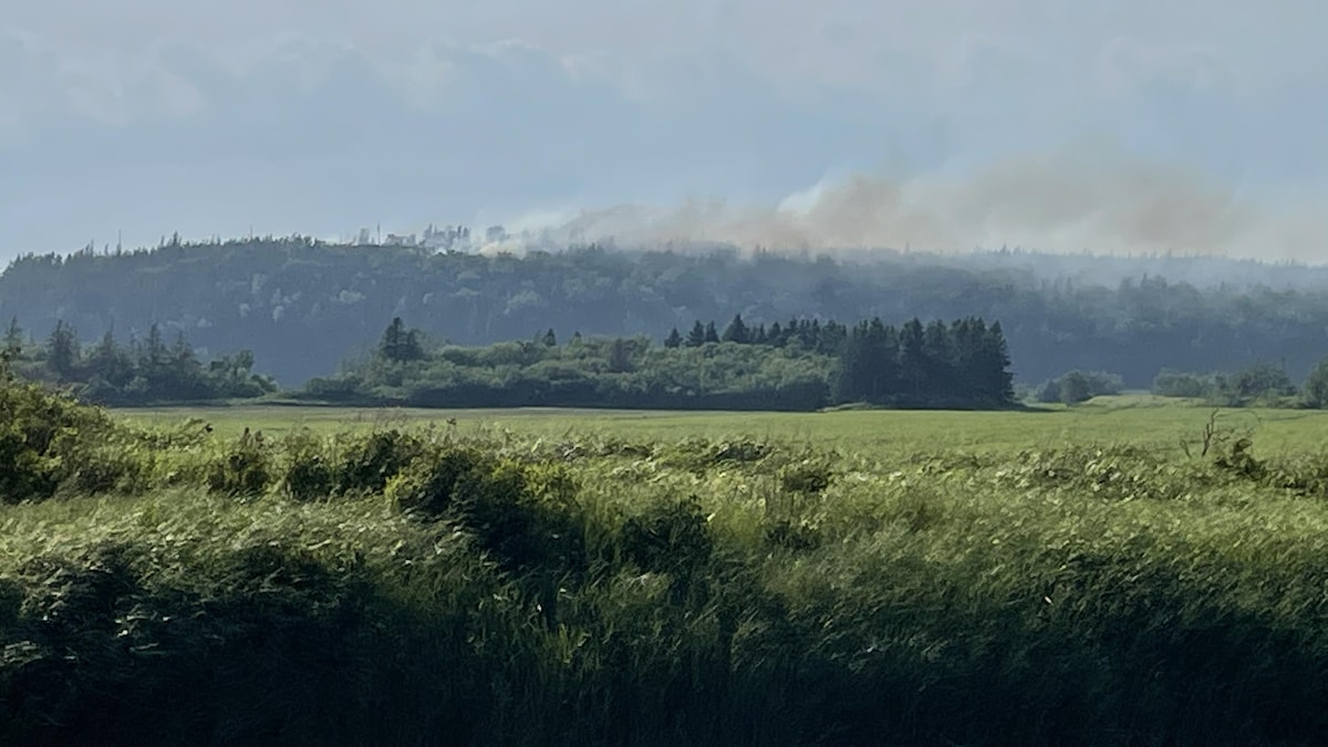 En continu BasSaintLaurent RadioCanada Page 254