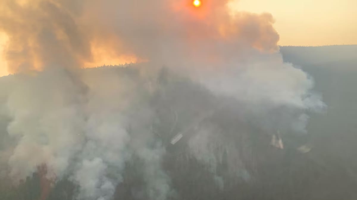 Vue aérienne de la fumée qui s'échappe de l'incendie de McDougall Creek.