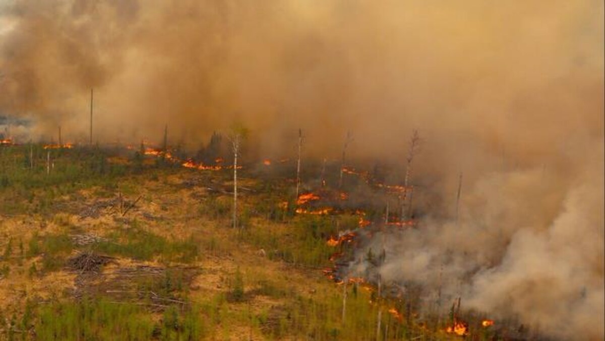 Des flammes et des colonnes de fumée jaillissent sur un terrain dénudé d'arbres.