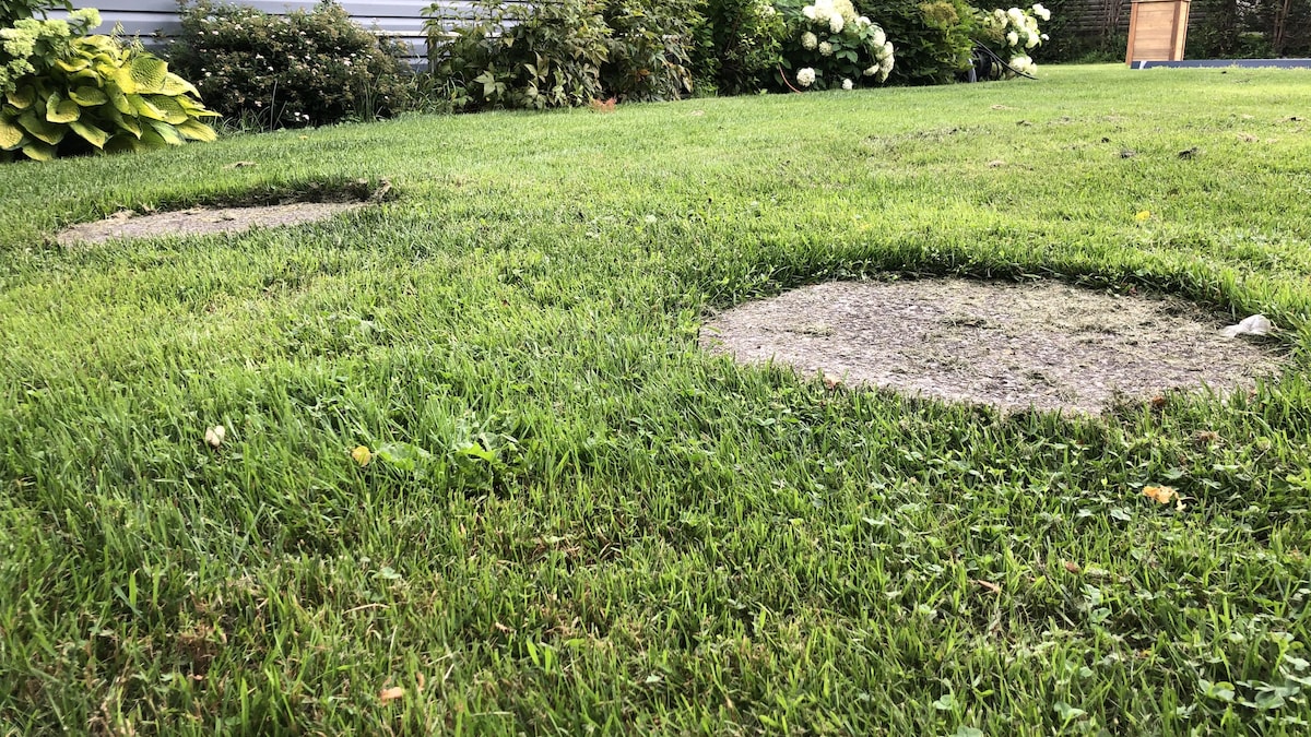 Un terrain avec des endroits qui recouvrent des installations septiques. 