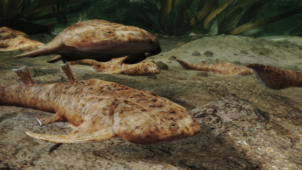 Une illustration d'un poisson.