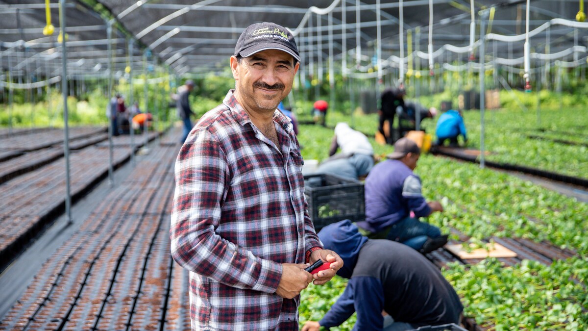 Le long parcours de francisation d’un travailleur agricole | Le ...