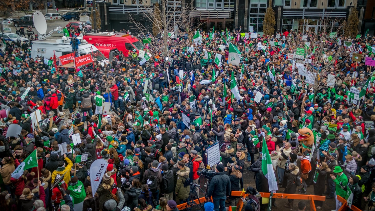 La vue en hauteur d'une foule de manifestants tenant des drapeaux verts et blancs.