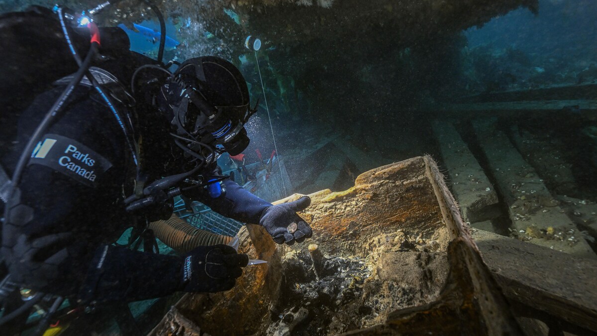 Un archéologue subaquatique fouille un coffre d'une épave sous l'océan. 