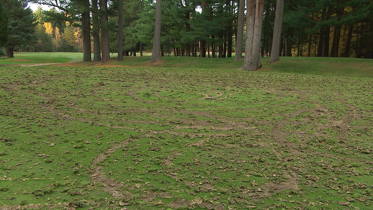 Des traces de roues sur un terrain de golf.