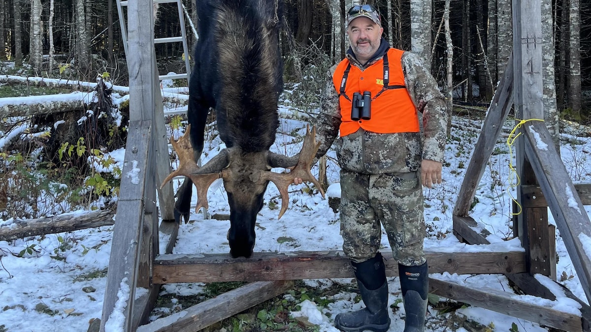 Une initiation à la chasse à l’orignal sur la ZEC Bas-Saint-Laurent