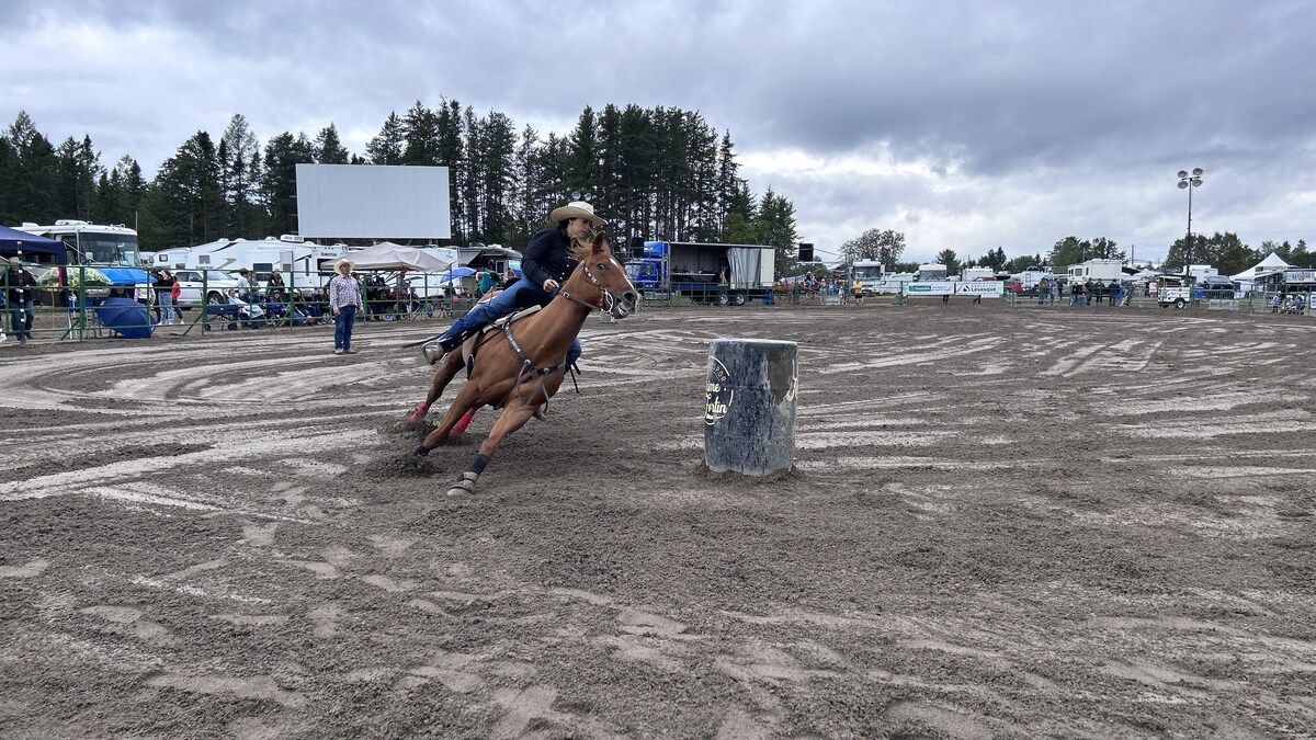 Incursion dans l'univers des courses de chevaux à Trois-Rivières