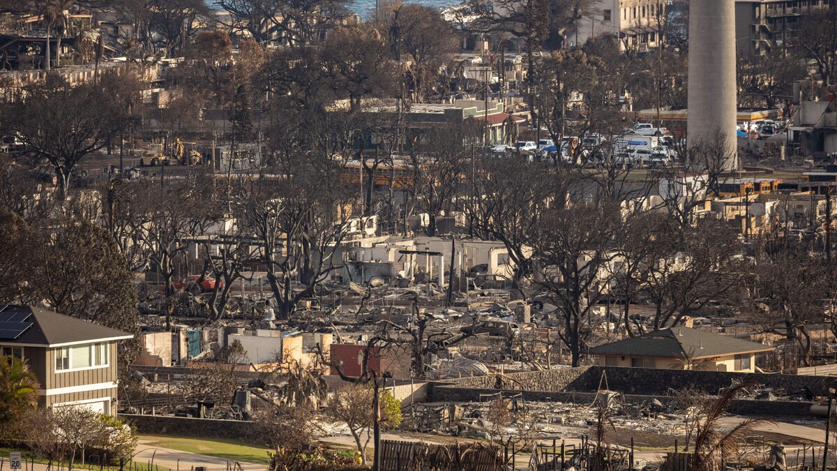 Un quartier détruit par les flammes. 