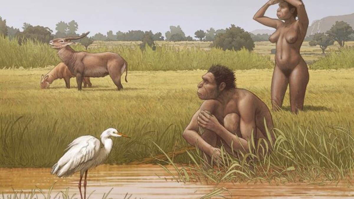Illustration artistique montrant l'Homo bodoensis dans son milieu naturel, la savane africaine.