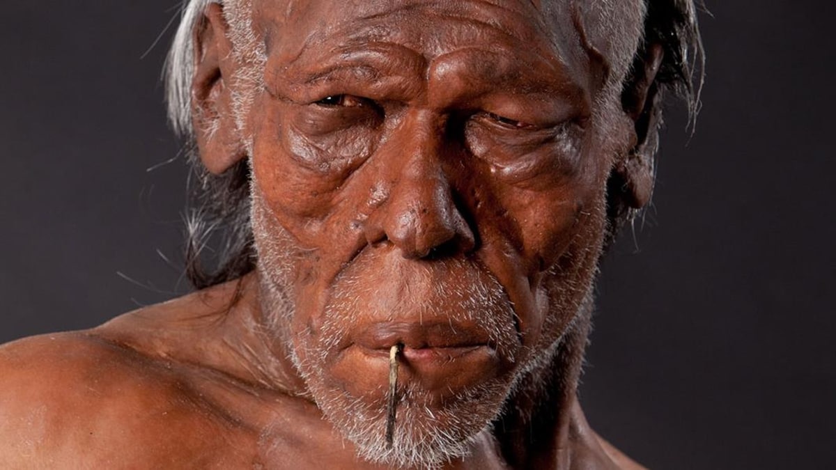 Représentation d'un Homo sapiens.