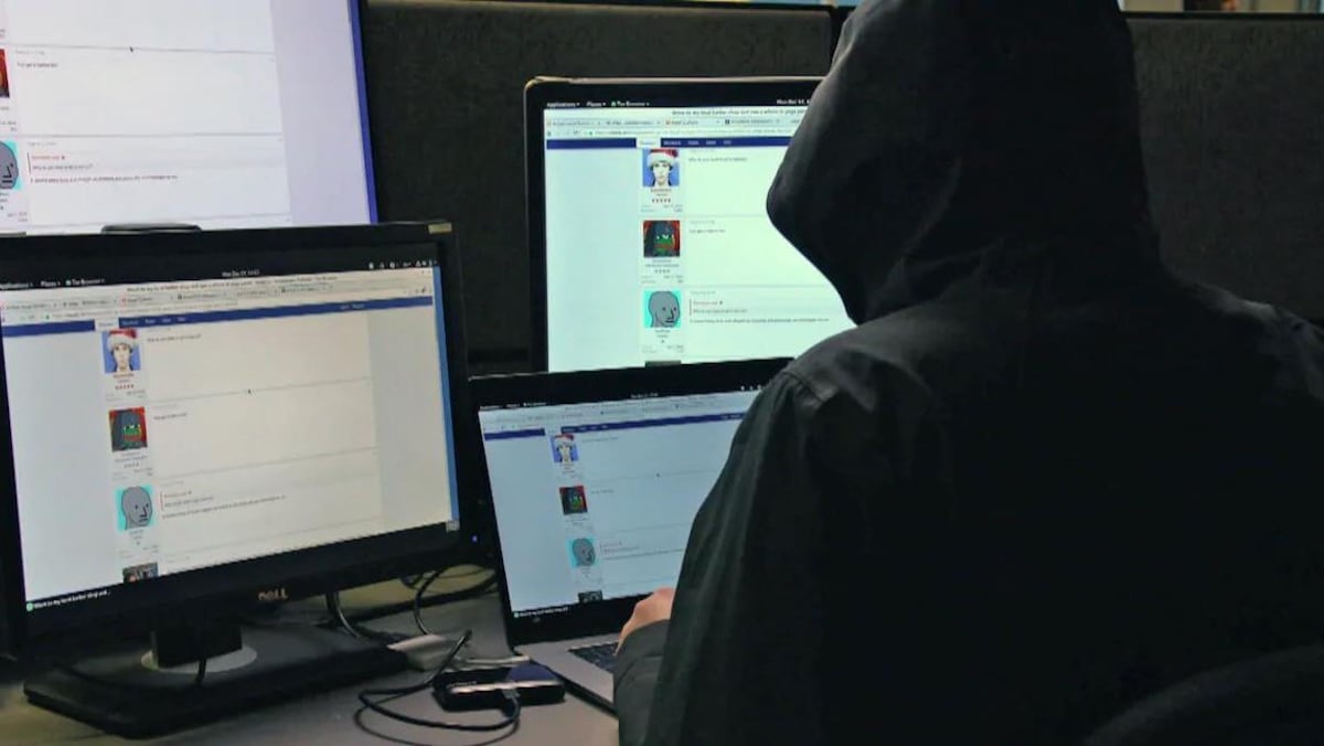 Détails et nuances entourant le manifeste « incel »