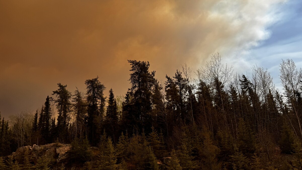 L'incendie de forêt dans la région de Carberry Portage. 
