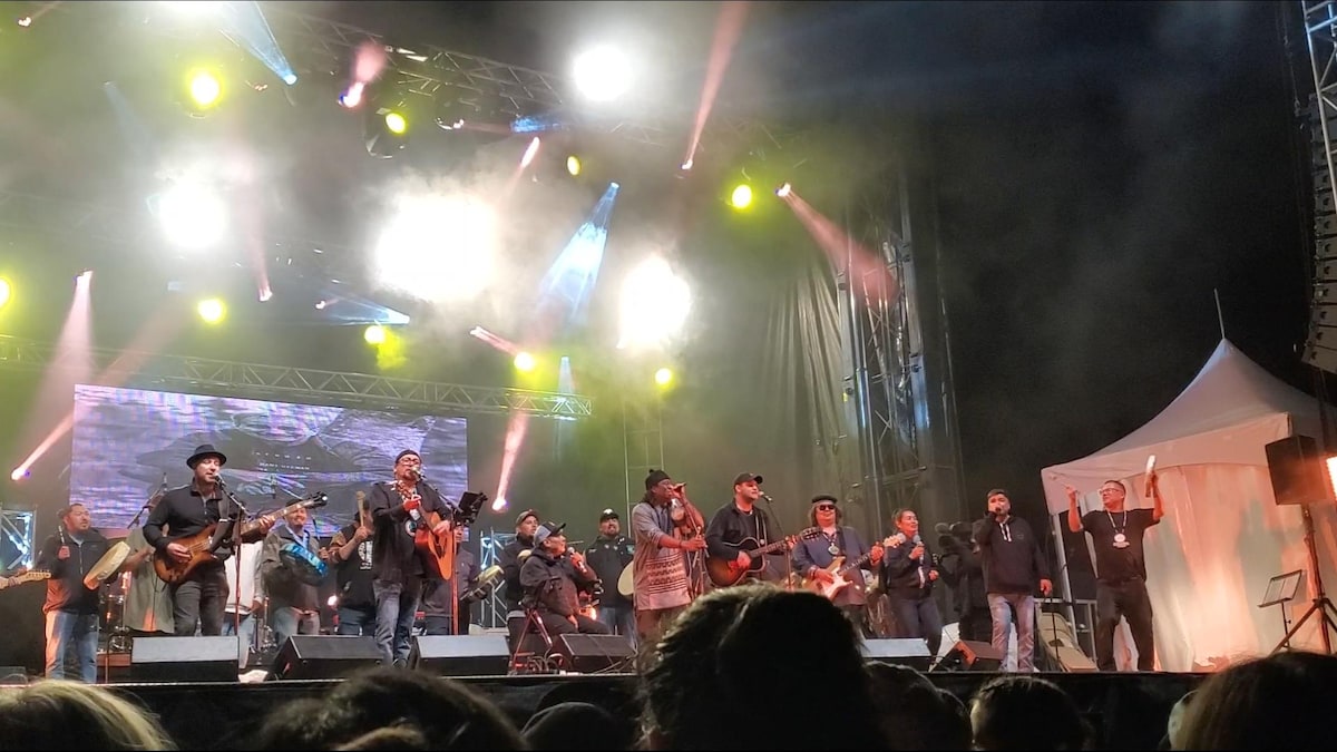 Une quinzaine d'artistes chantent, jouent du tambour ou de la guitare sur une scène. 