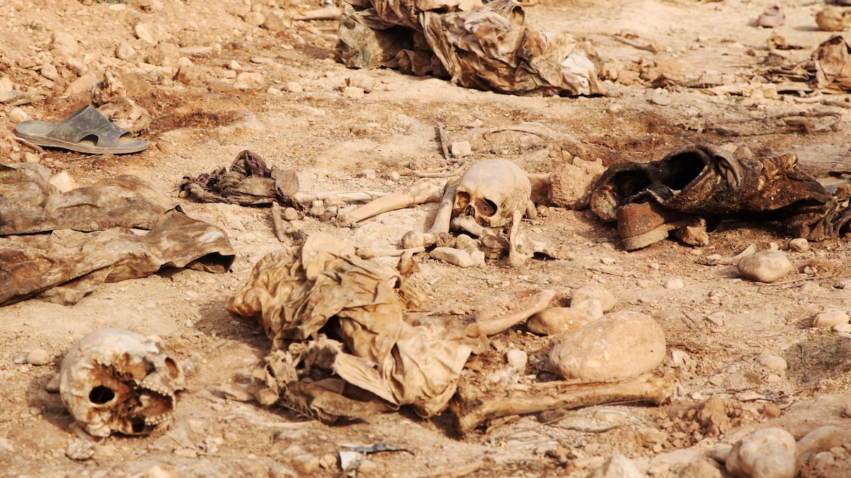 Des crânes humains jonchent le sol dans une fosses communes près de Sinjar, dans le nord de l'Irak.