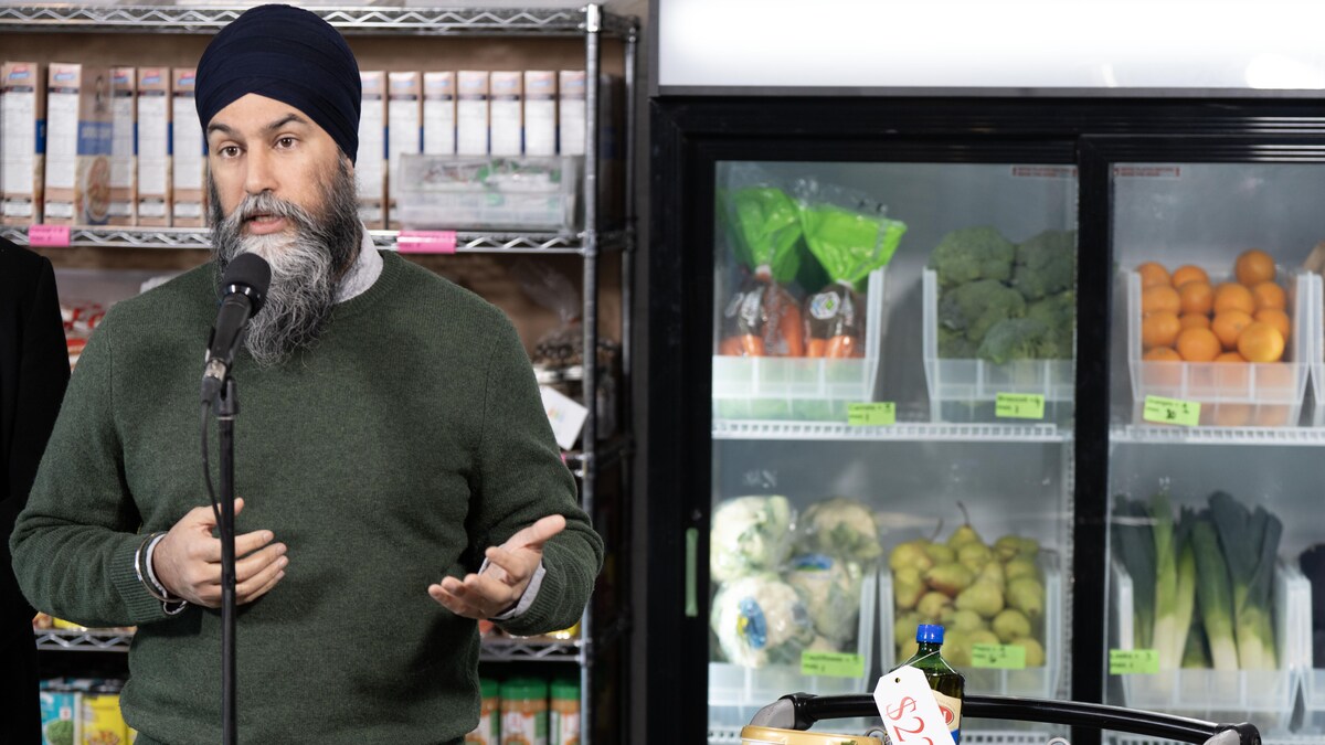 Élections fédérales canadiennes 2025 | Dossier | Radio-Canada