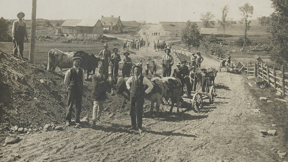 Photo noir et blanc. Des hommes se tiennent debout devant un boeuf qui tire une charrette sur une route de terre. On voit en arrière-plan une maison et une grange.