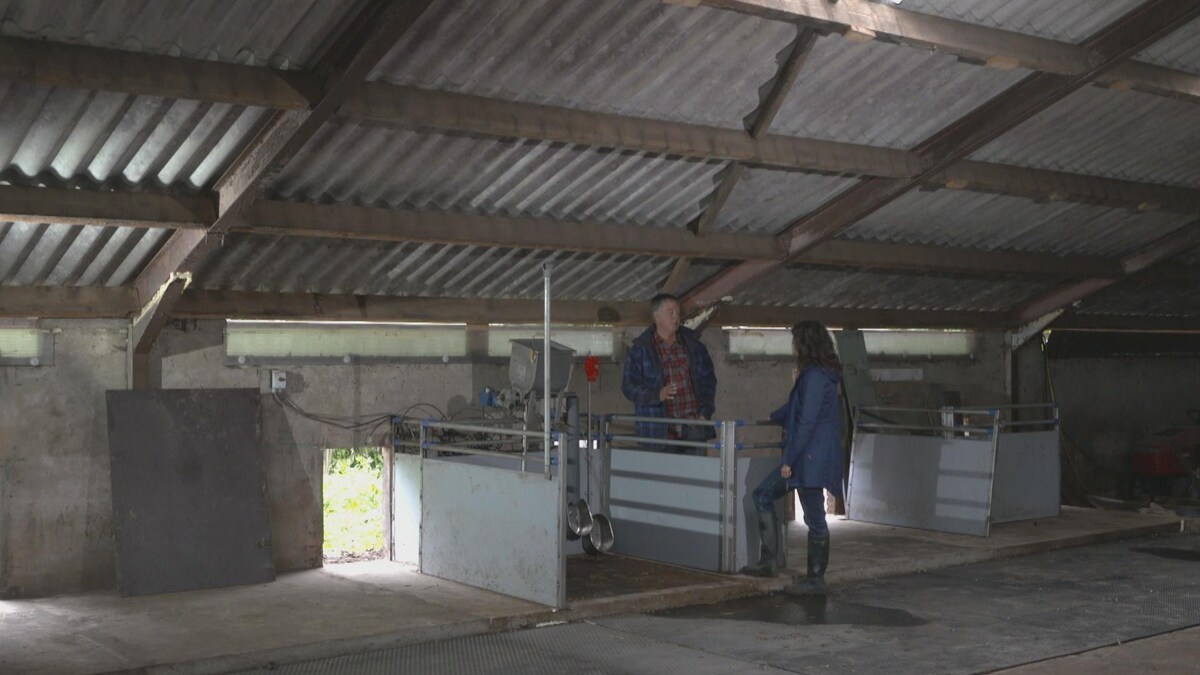 Kees Scheepens et Catherine Mercier près d'une installation de toilette pour les cochons.