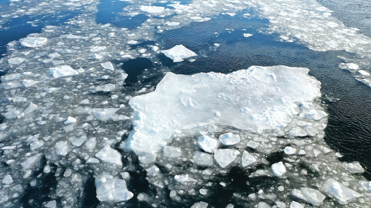 De petites plaques de glace sur la mer.