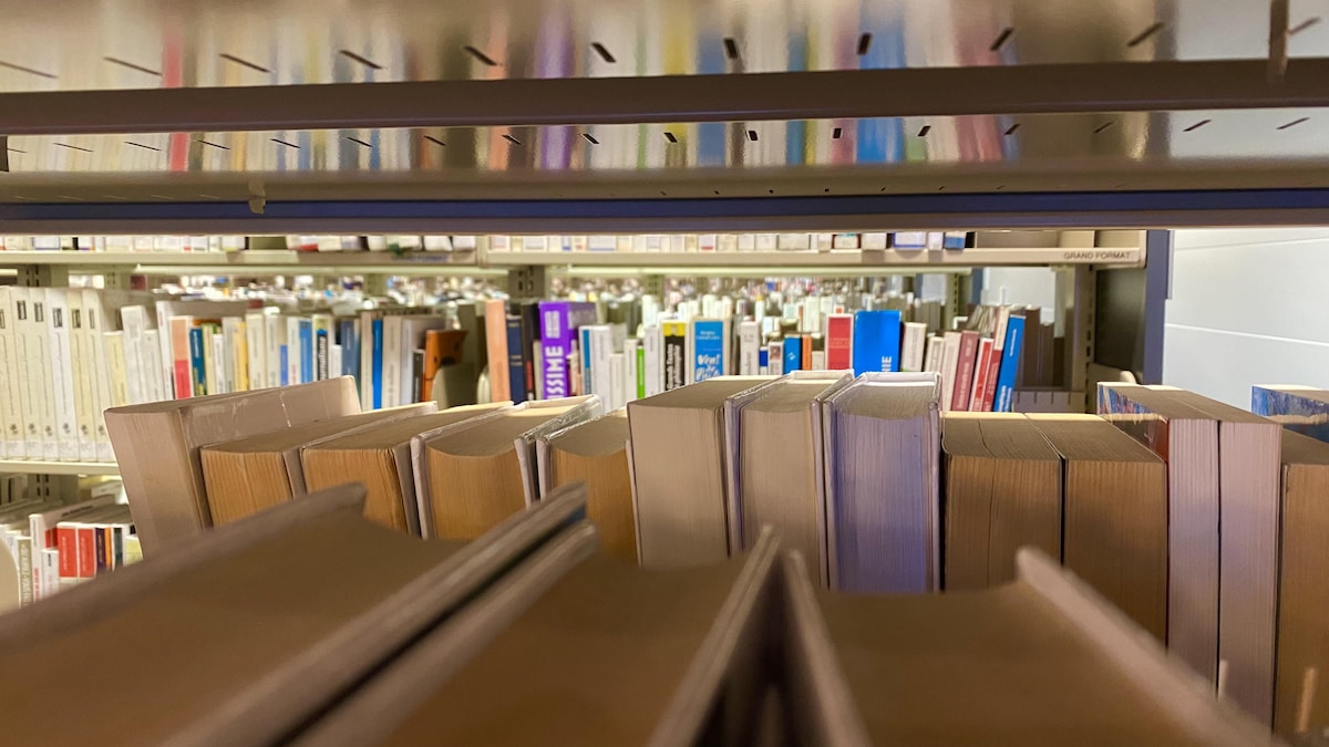 Des livres sur des étagères de la bibliothèque Gatien-Lapointe.