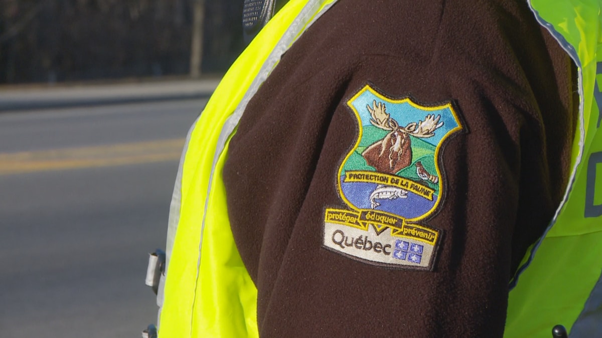 Le logo des agents de la faune  sur la manche d'un manteau.