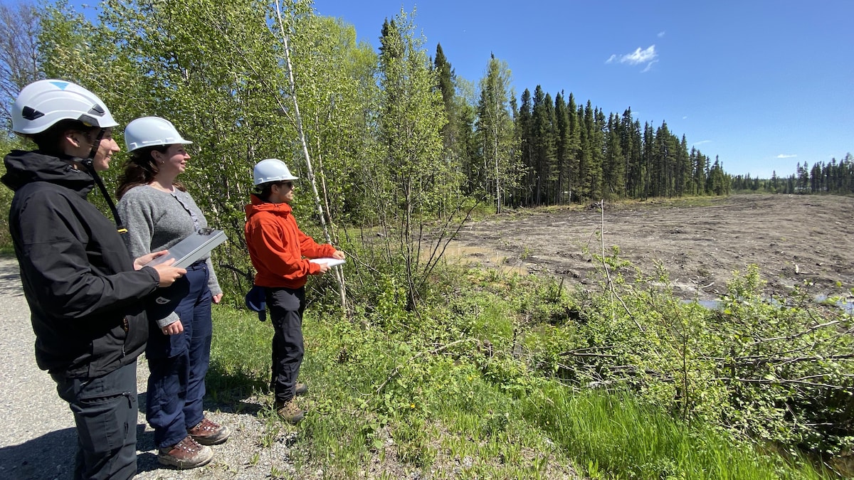 Trois employés de la SOPFEU portent un casque et regarde la ligne d'arrêt mécanisée, où la végétation n'existe plus dans une forêt.