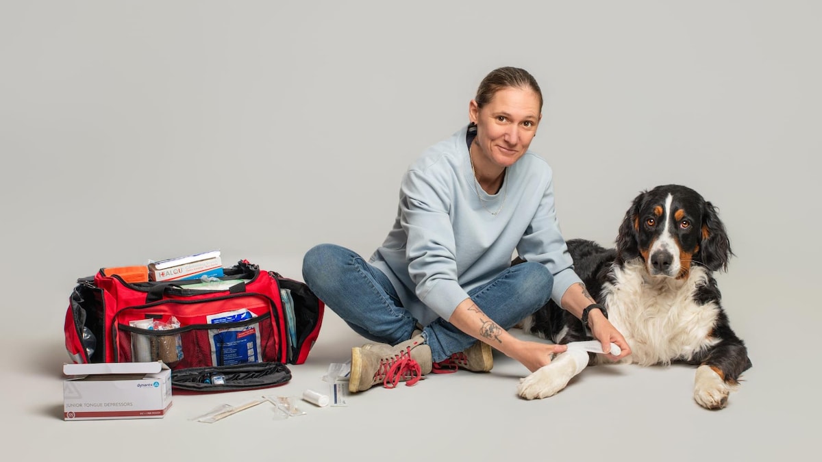 Un service de premiers secours pour animaux de compagnie