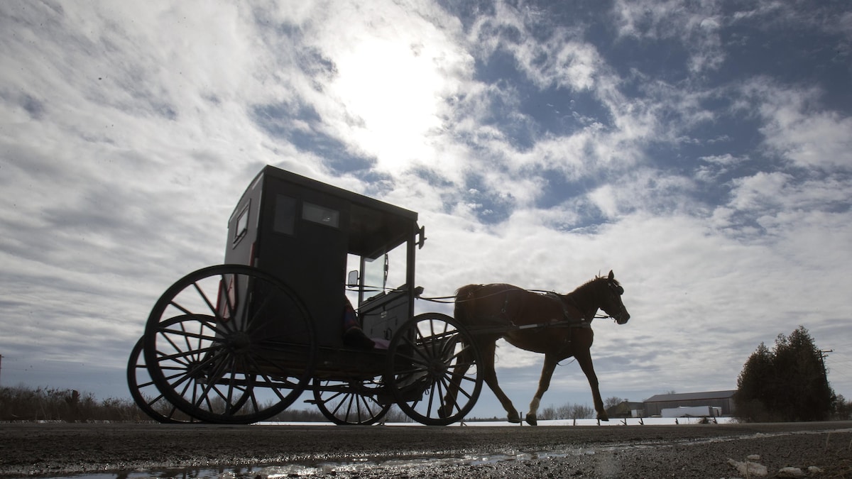 Des nouveaux arrivants à la rencontre de mennonites