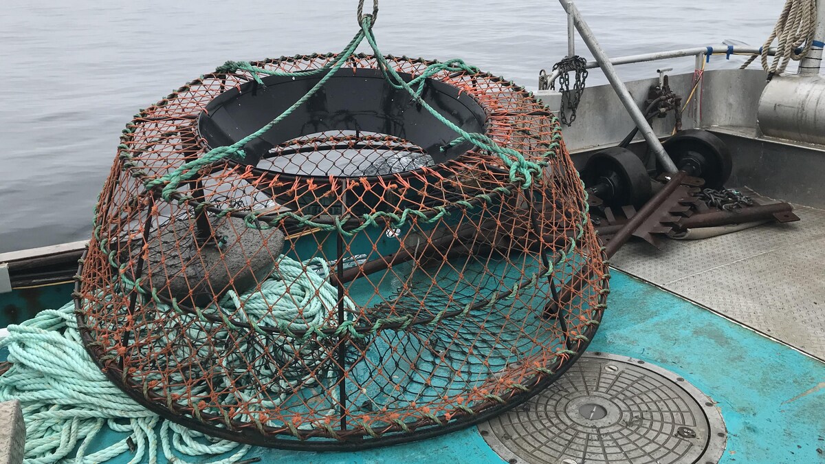 Grillage plastique pour casiers pêche - Équipement nautisme