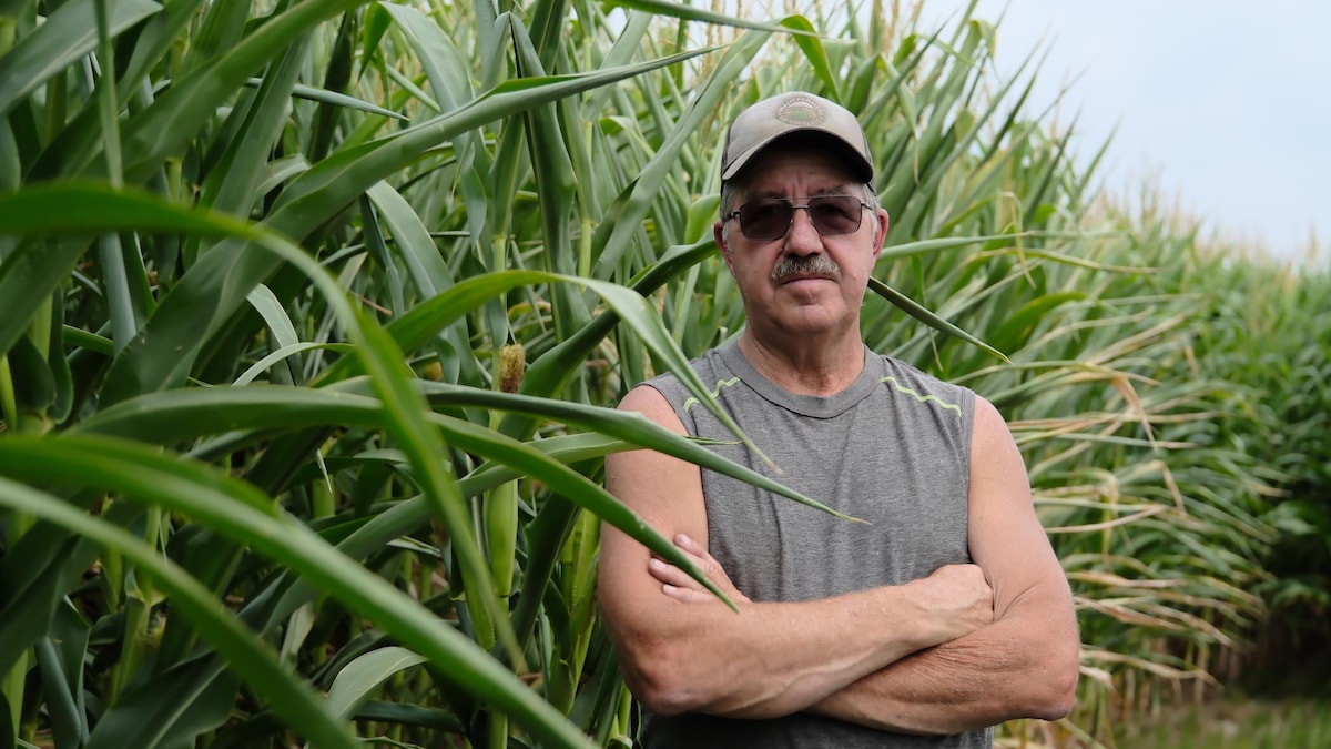 La vague de chaleur est-elle une bonne nouvelle pour l’agriculture?