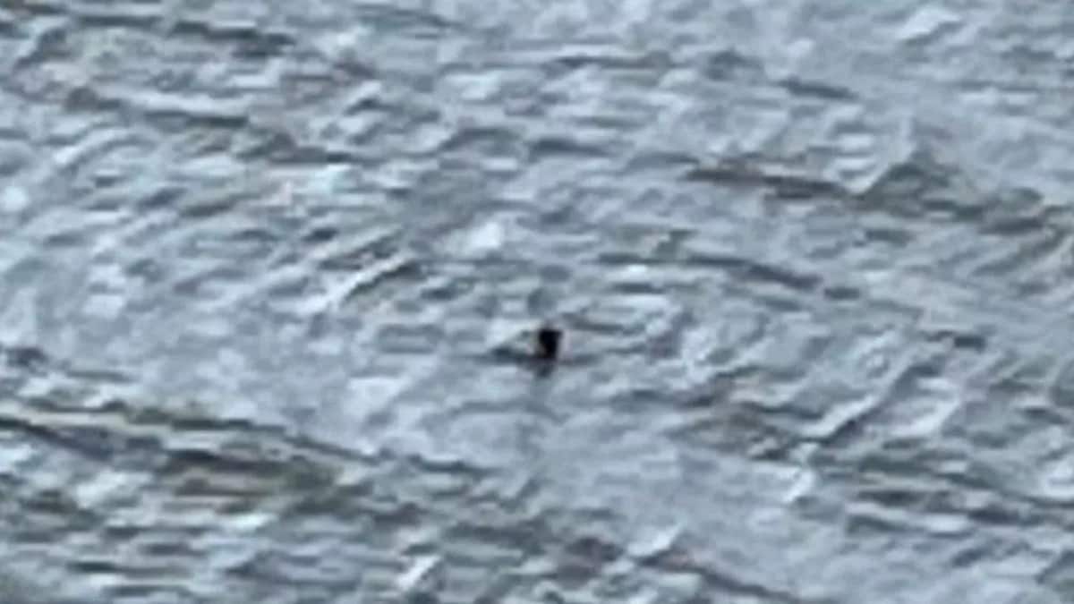 Une photo d'un objet flou flottant sur un lac.