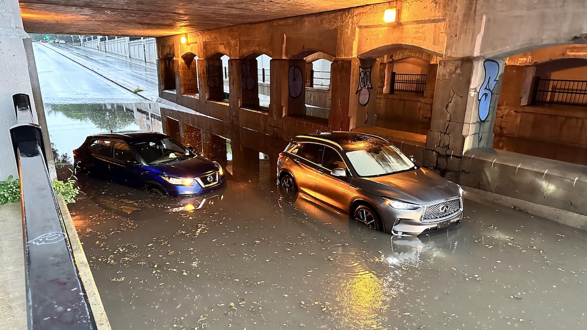Des voitures dans l'eau sous un viaduc.