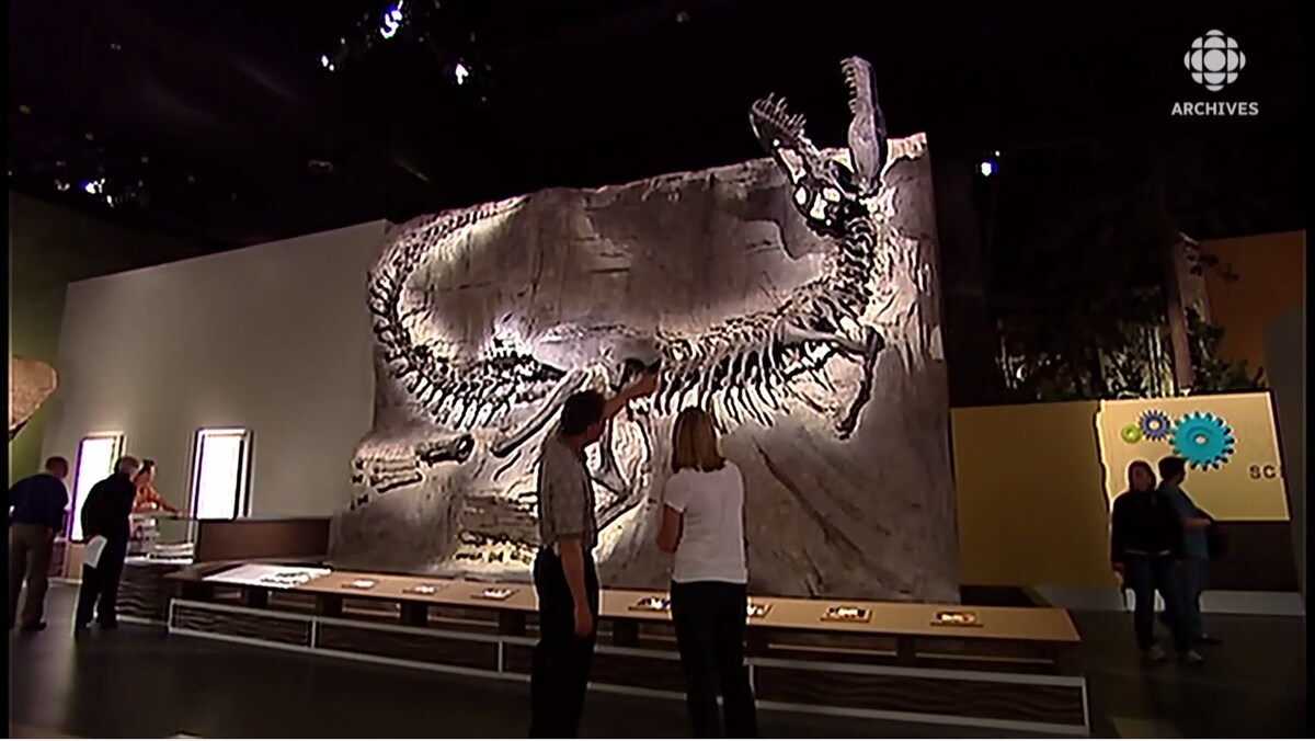 Deux visiteurs regardent un squelette de tyrannosaure au musée Tyrrell.