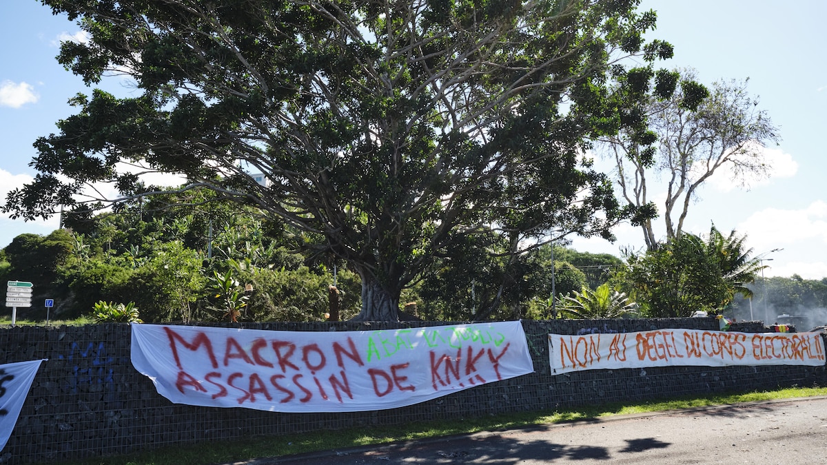 Sur le bord d'une route, des banderoles qui critiquent Macron et son dégel du corps électoral.