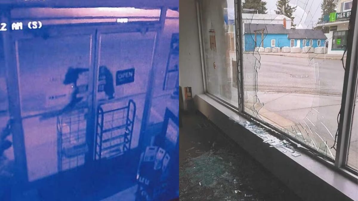 Sur l'image de gauche, on voit un ours sur la vidéo de la caméra de sécurité. Sur l'image de droite, une fenêtre de magasin brisée.