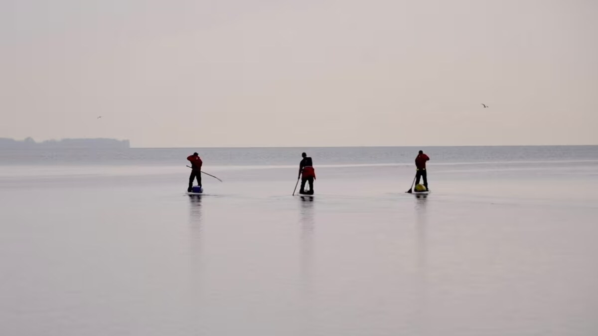 Trois hommes sur leur planche à pagaie.